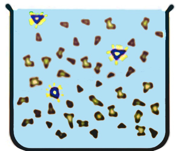 Dispersion5.jpg