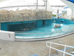 Aquarium Coated with Epoxy Aquatic Lining