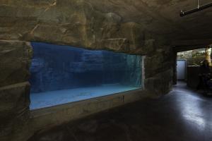 Aquatic Tank Lining  - Epoxy lining in aquarium